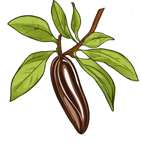Carobfrucht Logo – stilisiertes Markenzeichen mit natürlichem Johannisbrot-Motiv, symbolisiert Qualität und mediterrane Herkunft.