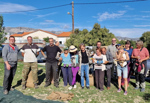 Ernte bei Eptastikots – Gruppenbild der Olivenbauern während der traditionellen Olivenernte in mediterraner Landschaft.