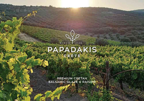 Papadakis Titelbild aus dem Weinberg auf Kreta – Blick auf Reben und mediterrane Landschaft